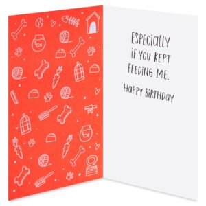 American Greetings Funny Birthday Card from Pet (We'd Still Be Good Friends)