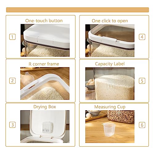 LivLab Flour Container 20LBS - 10 L /10.5 QT /10 KG - Rice Container Storage Food Grain Container Bins Household for Kitchen Pantry Organization (11L)