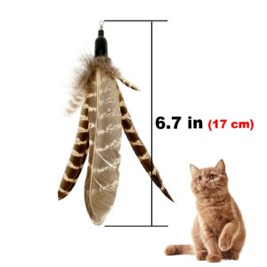 TIENAILING Cat Feather Toys Refills Cat Wand Replacement, 6 PCS Handmade Natural Da Bird Feathers Refill, Cat Toy Feather Replacement for Indoor Cats (C)