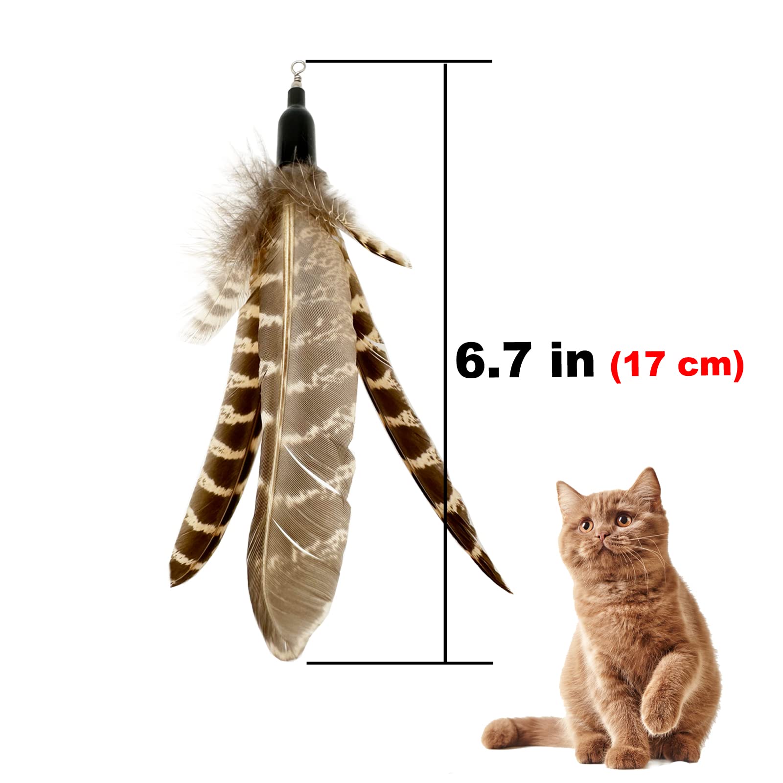 TIENAILING Cat Feather Toys Refills Cat Wand Replacement, 6 PCS Handmade Natural Da Bird Feathers Refill, Cat Toy Feather Replacement for Indoor Cats (C)