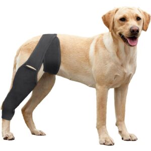 dog knee brace