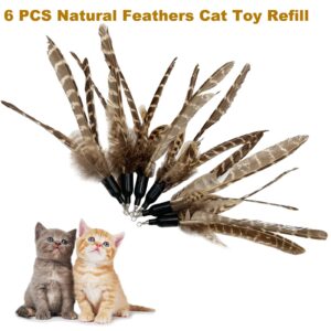 TIENAILING Cat Feather Toys Refills Cat Wand Replacement, 6 PCS Handmade Natural Da Bird Feathers Refill, Cat Toy Feather Replacement for Indoor Cats (C)