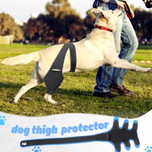 Dog Knee Brace