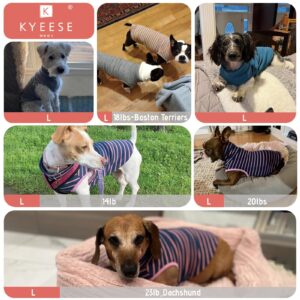 KYEESE 2Pack Dog Sweater Pullover Dog Sweatshirt Stretchy Dog Clothes Soft Dachshund Clothes Warm Dog Coats Turtleneck Small Dog Sweaters Dog Sweaters for Small Dogs Male