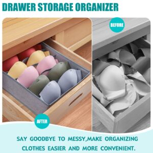 Cawek Bra Storage Drawers Organizer for Clothing Underwear Drawer Organizer Dividers Foldable Storage Cube Bins for Bra,Socks, Underwear,3 Pack （Grey）