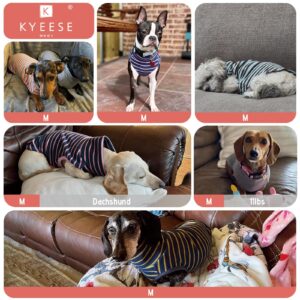 KYEESE 2Pack Dog Sweater Pullover Dog Sweatshirt Stretchy Dog Clothes Soft Dachshund Clothes Warm Dog Coats Turtleneck Small Dog Sweaters Dog Sweaters for Small Dogs Male