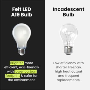 Feit Electric A19 LED Light Bulb, 40W Equivalent, Dimmable, 450 Lumens, E26 Med Base, 2700K Soft White, 90 CRI, 8.8W Standard Glass Filament Lighting Bulbs, 13-Year Lifetime, A1940/927CA/FIL/4, 4 Pack