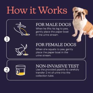 Oncotect Essential Dog Cancer Screening Test Kit, Easy to Use at Home Cancer Detection, Affordable Non-Invasive Urine-Based Test, Works On All Dog Breeds and Ages