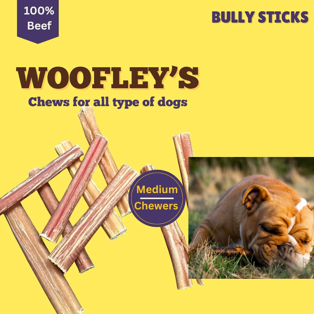 Woofley's 4-5" Bulk Regular Bully Sticks - (50 Count) - Bully Sticks for Dogs - Long Lasting Bully Stick Dog Chews