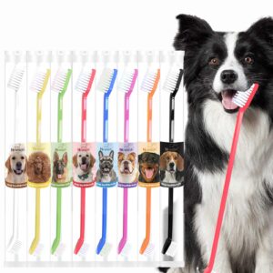 ninieleph vibrantpet toothbrush set - 8-pack with dual-head design, transparent tube packaging for convenient storage and travel | enhance pet dental care