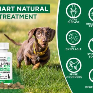 New Zealand - Green Lipped Mussel for Dogs - 1325mg 90 Caps - Hip & Joint Supplement for Dogs & Arthritis Relief for Dogs - GMO & Gluten Free