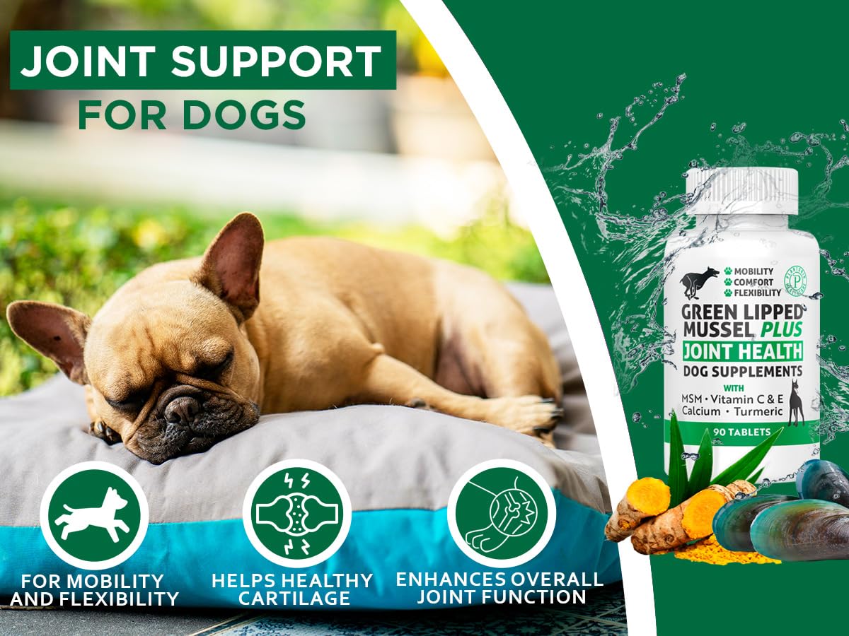 New Zealand - Green Lipped Mussel for Dogs - 1325mg 90 Caps - Hip & Joint Supplement for Dogs & Arthritis Relief for Dogs - GMO & Gluten Free