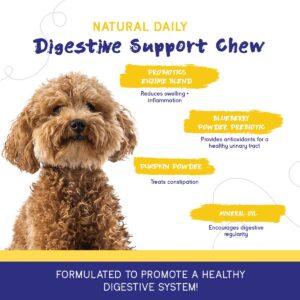 PupGrade 2-Pack Joint Support & Digestive Support Chews for Dogs - Soft Chews for Hip and Joint Pain Relief - Supplement with Probiotics, Prebiotics, Enzymes - 120 Chews Total