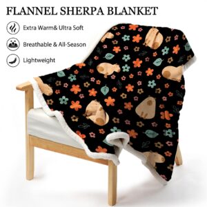 Dropshipful Capybara Blanket - 50"x60" Soft Sherpa Throw Blanket for Women Girls Boys Kids Animals Lovers Gifts - Super Cozy Fleece Sunflower Black Blanket for Sofa Couch Bed