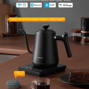 GoveeLife Smart WiFi Electric Kettle with LED Display, Variable Temperature Control, 0.8L, Alexa Compatible - Stainless Steel Kettle for Pour Over Coffee, Brew Tea, Boil Hot Water, Matte Black