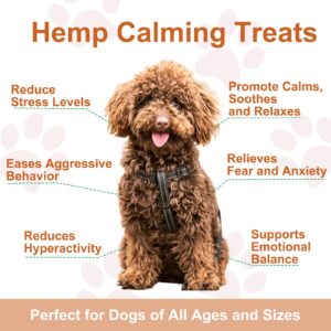 Pedode Hemp Calming Chews for Dogs Help with Dog Anxiety Relief, Stress, Seperation, Barking, Storms, Thunder - Dog Calming Treats - 120 Count - Beef Flavor