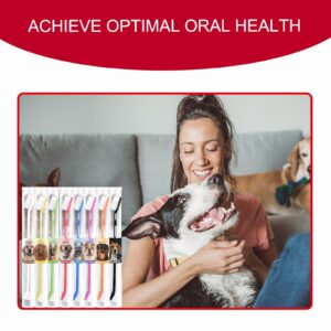 Ninieleph VibrantPet Toothbrush Set - 8-Pack with Dual-Head Design, Transparent Tube Packaging for Convenient Storage and Travel | Enhance Pet Dental Care