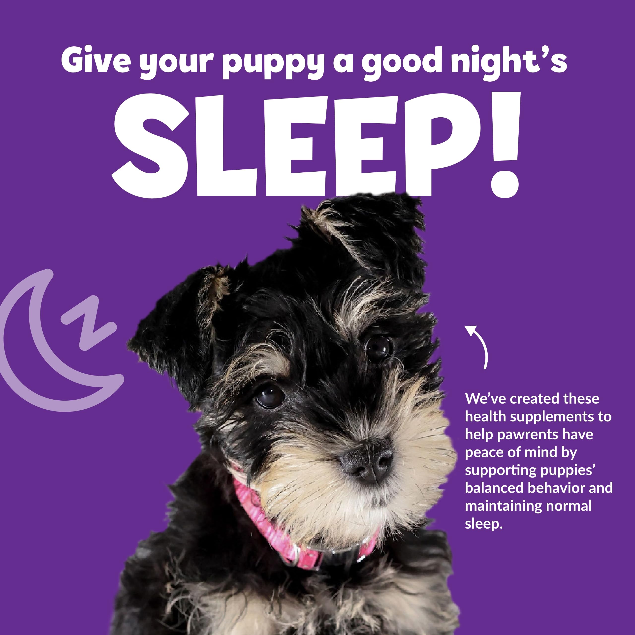 Snuggle Puppy Night Calm Puppy Bites - Calming Chew Bites for Dogs - Puppy Supplement to Support Restfulness & Sleep - Puppy Chew Bites with Melatonin, Chamomile & Ashwagandha - 60 Soft Chews