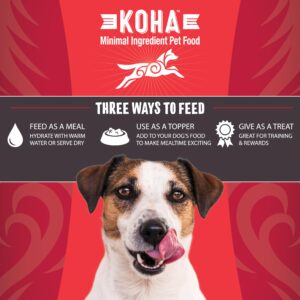 KOHA Raw Life Freeze-Dried Raw Bites Beef for Dogs, High Protein Meal, Topper, and Treat for Picky Eaters, 14oz Bag