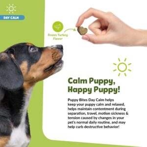 Snuggle Puppy Day Calm Puppy Bites - Calming Chew Bites for Dogs - Dog Supplement to Help with Separation Stress & Relaxation - Puppy Chew Bites with Colostrum, Chamomile & Ashwagandha - 60 Soft Chews