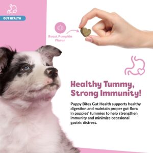 Snuggle Puppy Puppy Bites Gut Health Supplement - Dog Probiotics & Prebiotics for Gut Health - Pet Supplement and Supplies for Dog Health - Dog Digestive Health Support - 60 Soft Chews