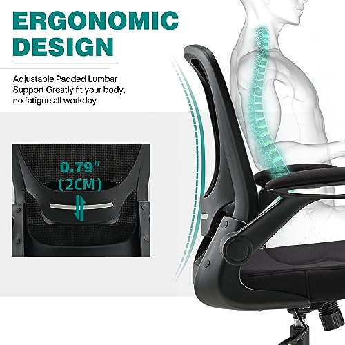 EUREKA ERGONOMIC Mesh Office Chair, Ergonomic Desk Chair with Adjustable Lumbar Support, Chair for Desk - Flip-Up Armrests, Breathable Computer Desk Chair with Wheels, Work Chair - BIFMA Passed(Black)