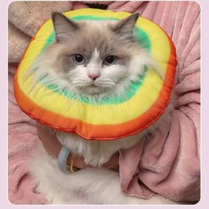 Yanmucy Cat Recovery Collar Adjustable Rainbow Cat Elizabethan Collar Soft Cat Cone After Surgery Protective Neck for Cat Cones to Stop Licking (M)