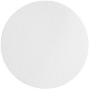 Omicron™ 136047 Borosilicate Glass Fiber Binder Free Filter,0.45 Micron, 47mm (100/Pk)