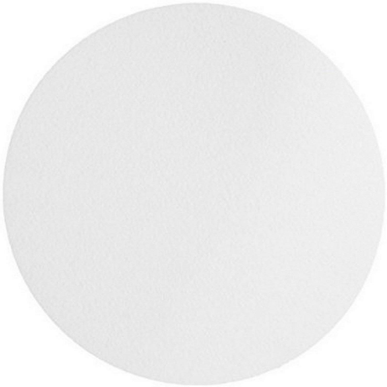 Omicron™ 136047 Borosilicate Glass Fiber Binder Free Filter,0.45 Micron, 47mm (100/Pk)