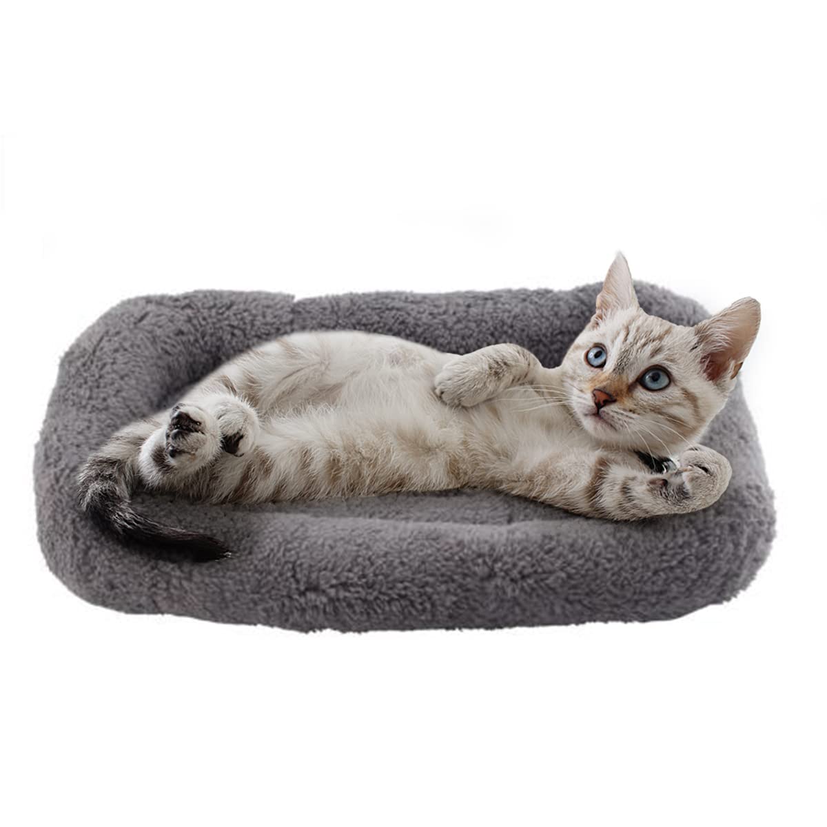 PETLESO Small Cat Bed Plush Cat Cushion, Small Cat Beds for Indoor Cats Fluffy Cat Mat for Small Cat Curl Sleep for Crate Carrier, Small 15" x 10"