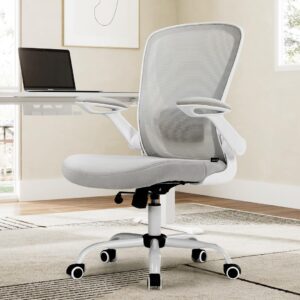 EUREKA ERGONOMIC Mesh Office Chair, Ergonomic Desk Chair with Adjustable Lumbar Support, Chair for Desk - Flip-Up Armrests, Breathable Computer Desk Chair with Wheels, Work Chair - BIFMA Passed(Gray)