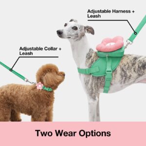 VETRESKA Flora Dog Harness, Leash and Collar Set, No Pull Dog Vest Harness for Walking and Training, Adjustable, Easy Control and Soft Padded Pet Harness and Backpack for Small Medium Large Dogs, S