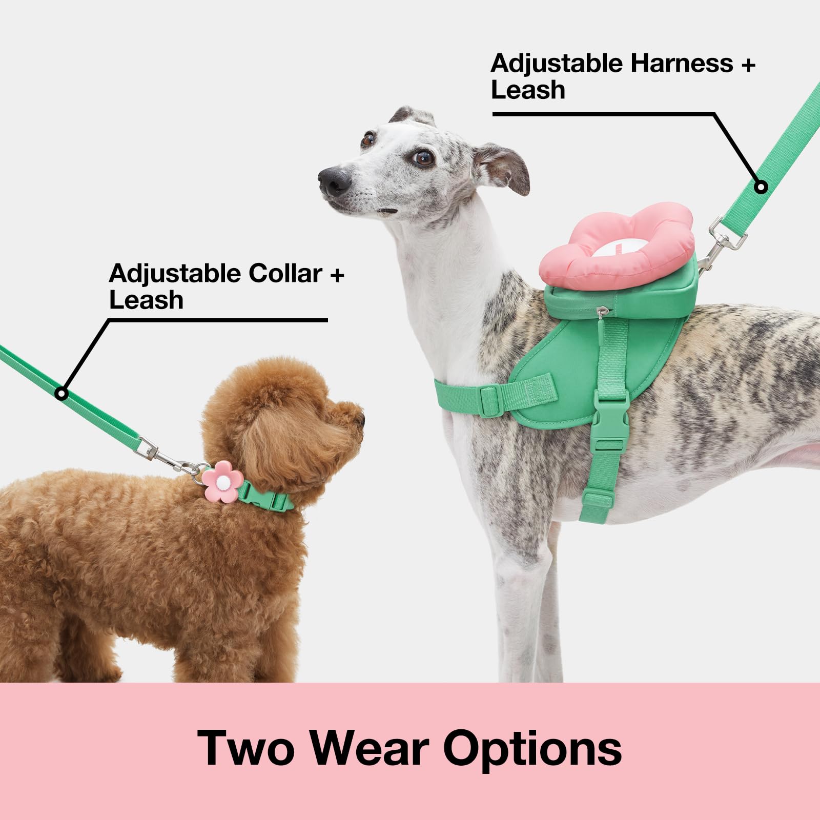 VETRESKA Flora Dog Harness, Leash and Collar Set, No Pull Dog Vest Harness for Walking and Training, Adjustable, Easy Control and Soft Padded Pet Harness and Backpack for Small Medium Large Dogs, S