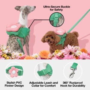 VETRESKA Flora Dog Harness, Leash and Collar Set, No Pull Dog Vest Harness for Walking and Training, Adjustable, Easy Control and Soft Padded Pet Harness and Backpack for Small Medium Large Dogs, S