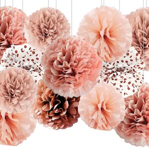 Blush Pink Rose Gold Hanging Tissue Paper Pom Poms,12Pcs Pompoms Flowers for Boho Birthday,Bachelorette, Bridal Shower Decorations, Wedding, Baby Shower Decorations