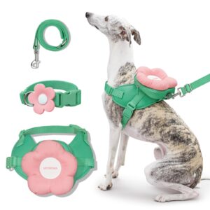 vetreska flora dog harness, leash and collar set, no pull dog vest harness for walking and training, adjustable, easy control and soft padded pet harness and backpack for small medium large dogs, s