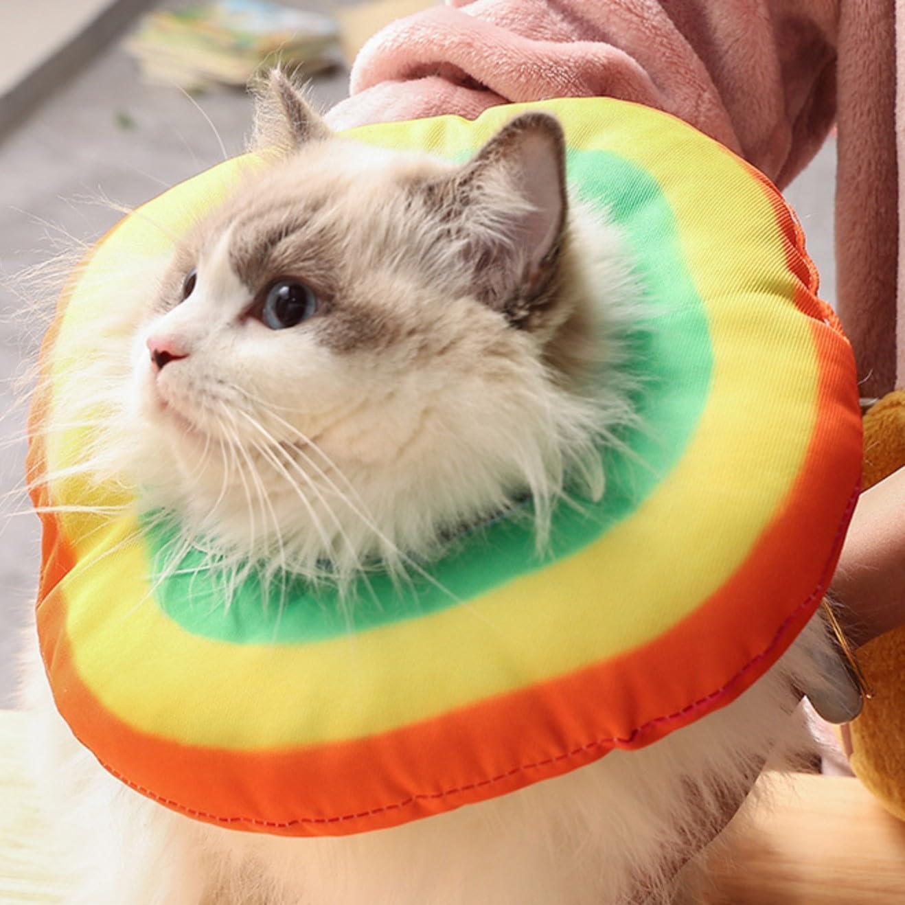 Yanmucy Cat Recovery Collar Adjustable Rainbow Cat Elizabethan Collar Soft Cat Cone After Surgery Protective Neck for Cat Cones to Stop Licking (M)