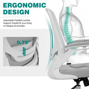 EUREKA ERGONOMIC Mesh Office Chair, Ergonomic Desk Chair with Adjustable Lumbar Support, Chair for Desk - Flip-Up Armrests, Breathable Computer Desk Chair with Wheels, Work Chair - BIFMA Passed(Gray)