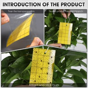 Qualirey 300 Pcs Sticky Trap for Gnats 3 x 5'' Dual Side Sticky Fruit Fly Trap with Tie Plant Sticky Trap for Flying Insect Fungus Bugs Flying Sticky Trap for Indoor (Yellow)