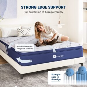 Avenco Mattress Queen, 12 Inch Queen Mattress Hybrid, Medium Firm Queen Mattress in a Box for Pressure Relief and Sound Sleep, Wrapped Coils and CertiPUR-US Foam, Soft Breathable Fabric