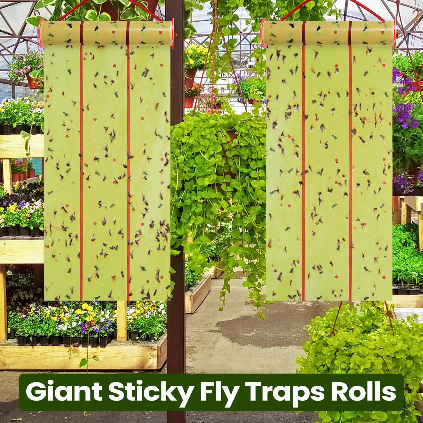 Qualirey Sticky Fly Traps Outdoor Giant Fly Traps for Indoors Sticky Fly Paper Strips Indoor Hanging Fly Tape Insect Fly Paper Sheets Glue Bug Catcher Outdoor for Gnats Mosquitoes (150 ft)