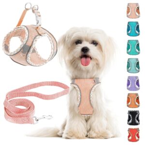 Small Dog Harness and Leash Set, No Pull Adjustable Reflective Breathable Mesh Step in Dog Harness Easy Walk Dog Harness for Extra Small/Small Medium Dog Cats Puppy Outdoor Hiking Training (Pink XXS)