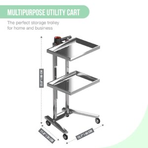 Multifunctional 2-Tray Utility Cart on Wheels - Stainless Steel 2-Level Medical Trolley Cart - Mobile Storage Tray Cart for Dental Tools, Cavitation Machine, Salon Supplies - Foldable Storage Trays