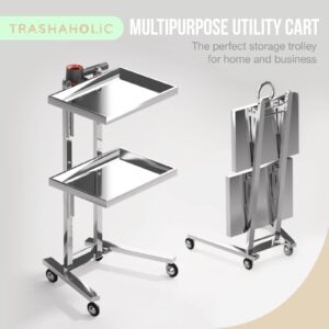 Multifunctional 2-Tray Utility Cart on Wheels - Stainless Steel 2-Level Medical Trolley Cart - Mobile Storage Tray Cart for Dental Tools, Cavitation Machine, Salon Supplies - Foldable Storage Trays