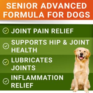 Senior Advanced Glucosamine Joint Supplement for Dogs - Hip & Joint Pain Relief - Small + Large Breeds -Omega-3 Fish Oil - Chondroitin, MSM- Mobility Soft Chews for Older Dogs - Bacon Flavor - 240Ct