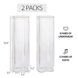 acDesign 2PCS Wall Mount Sock Underwear Drawer Organizer, Wall Hanging Underwear Storage Box for Wardrobe Cabinet Bedroom Socks Lingerie