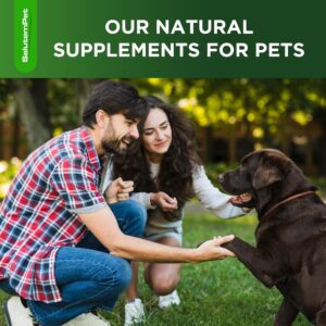 Natural Antibiotics for Dogs | Dog Antibiotics | Supports Dog Allergy Relief | Dog Itch Relief | Dog Allergy Support | Dog Multivitamin | Pet Antibiotics | Dog Antibiotics | 2 Oz