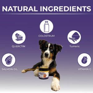 Profound Pets Pet Allergy and Itch Relief, Dog Allergy Chews, Intermittent Itchiness, Pet Probiotic, Seasonal Allergies - Anti Itch Support