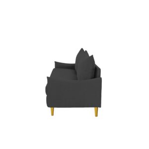 AnwickNomo Modern 67" Fabric Loveseat Sofa, 2-Seater Couch for Living Room, Small Space Furniture with Golden Legs, Upholstered Love Seats for Apartment, Bedroom, Living Room, Home Office (Dark Grey)