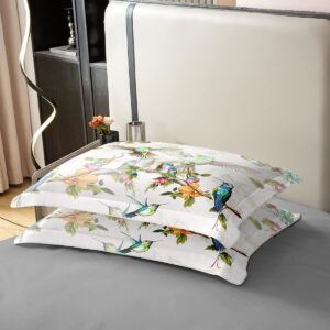 Erosebridal 100% Cotton Birds Duvet Cover King Hummingbird Bedding Set Blue Green Spring Wild Animals Botanical Comforter Cover Farmhouse Nature Spring Wildlife Quilt Cover for Women Girls